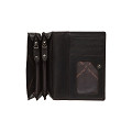C08.045901-Brown-01-1